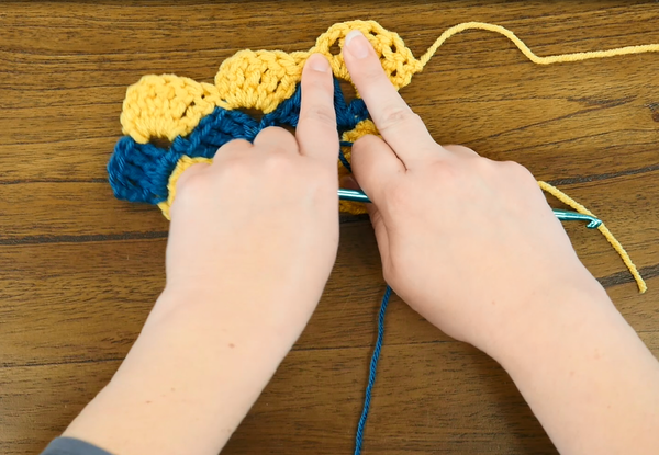 Vintage Crochet Shell Stitch